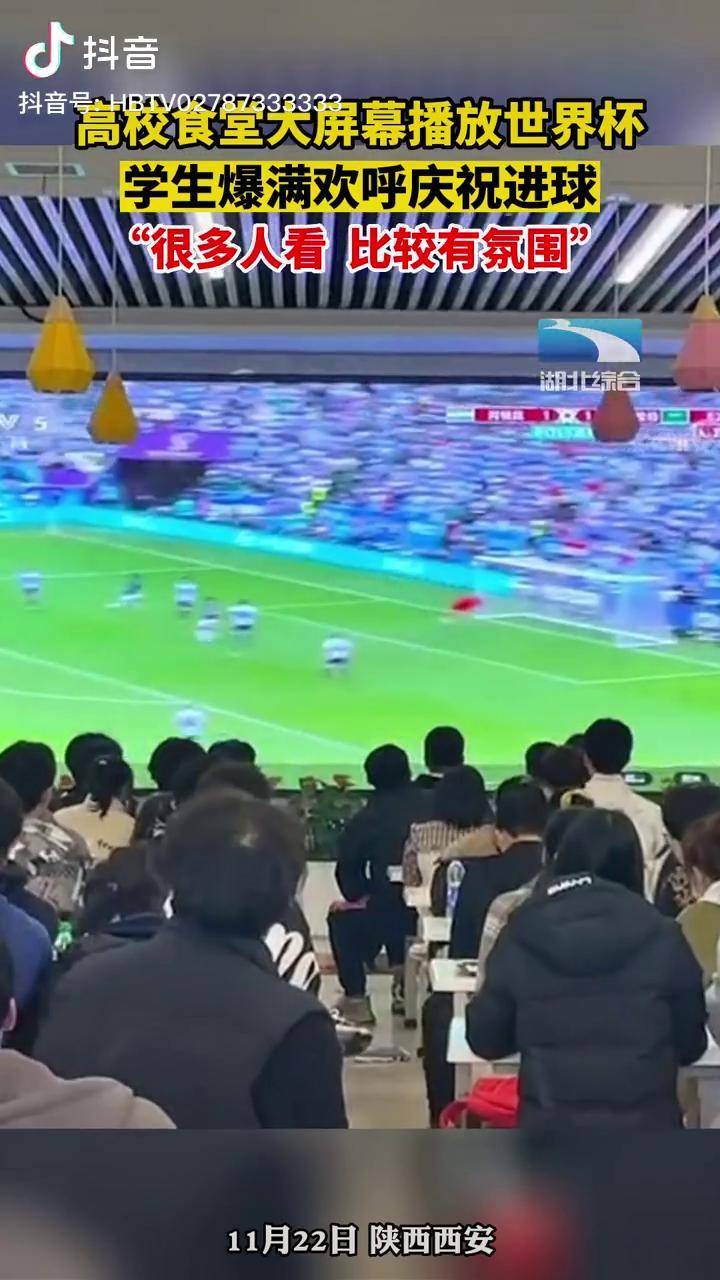 国际社会为世界杯比赛疯狂，各地大屏幕现场直播的简单介绍